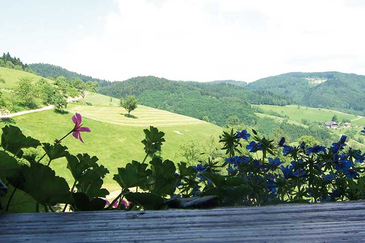 Ferien auf dem Bauernhof