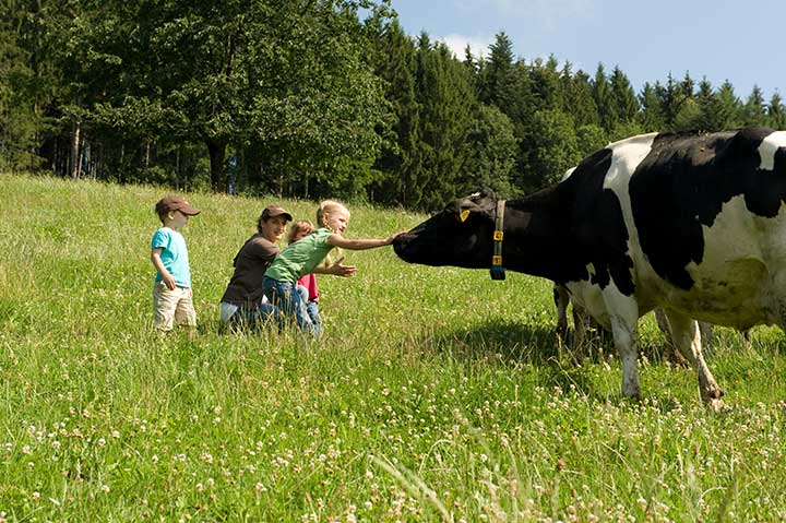 Ferien auf dem Bauernhof