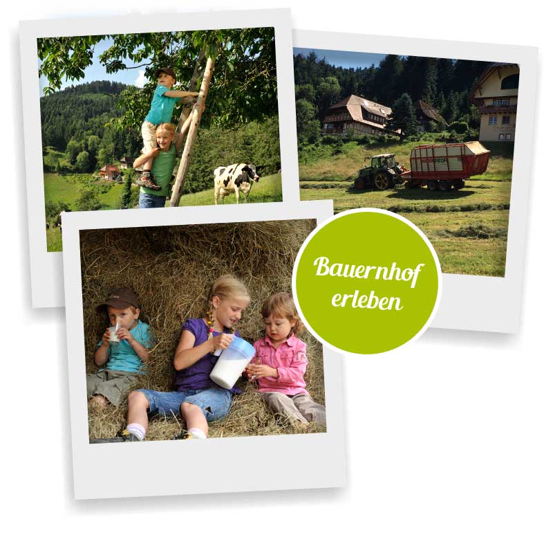 Ferien auf dem Bauernhof Oberer Rechtgrabenhof