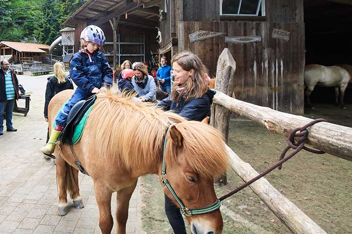 Ferien auf dem Bauernhof