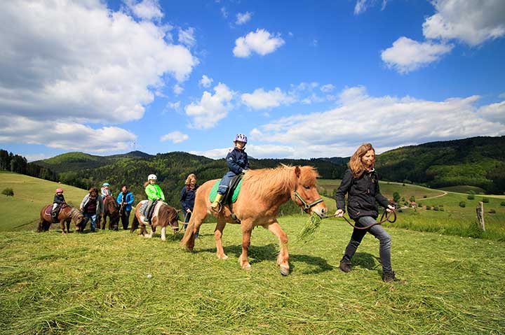 Ferien auf dem Bauernhof