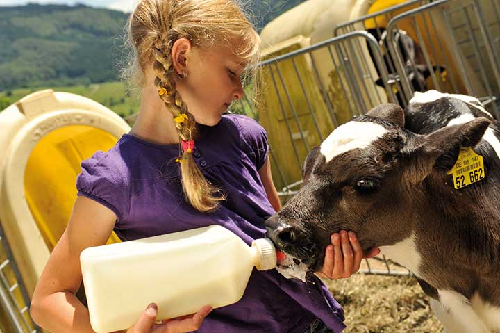 Ferien auf dem Bauernhof